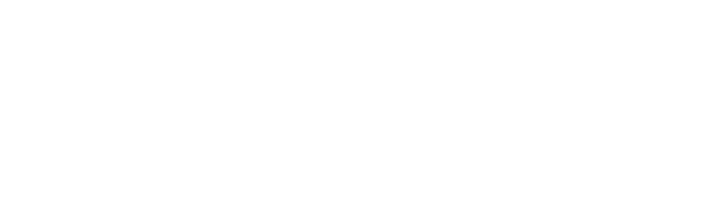 logo_2022_white